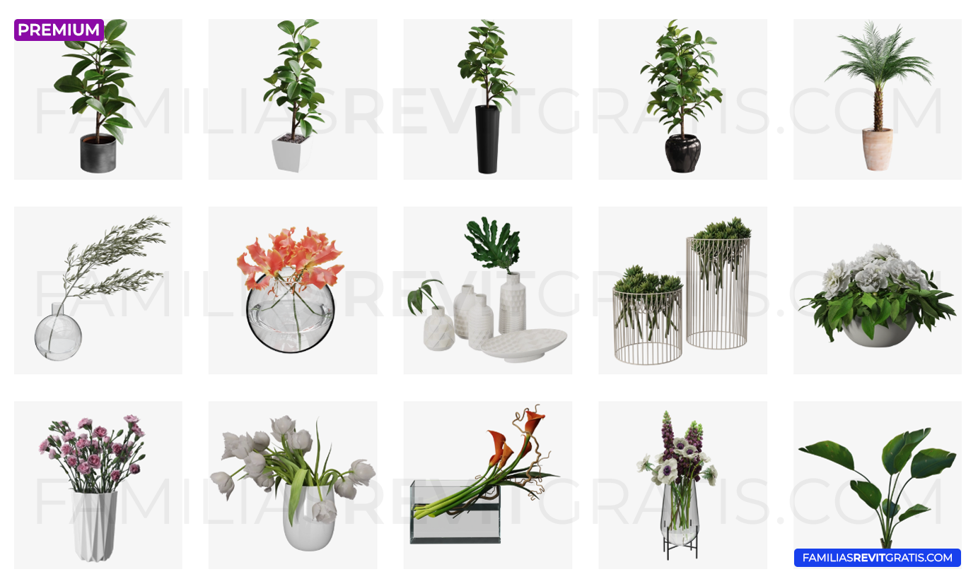 Plantas para interiores - Imagen 2