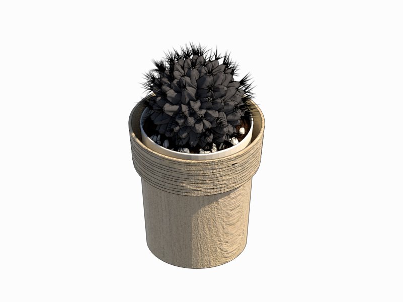 Familia de Cactus Esférico para Revit, modelo RFA de vegetación decorativa (LOD 300) para interiorismo y paisajismo BIM.