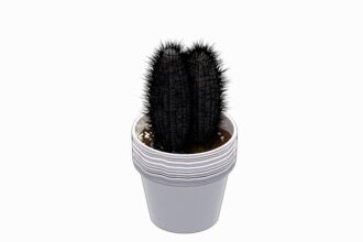 Familia de Cactus en Maceta para Revit, modelo RFA de vegetación decorativa (LOD 300) para interiorismo y paisajismo BIM.