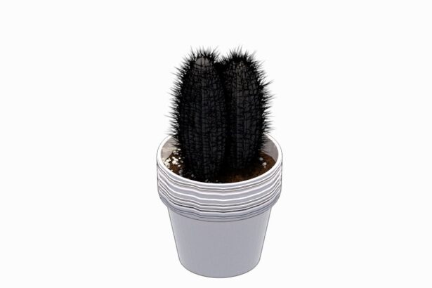 Familia de Cactus en Maceta para Revit, modelo RFA de vegetación decorativa (LOD 300) para interiorismo y paisajismo BIM.