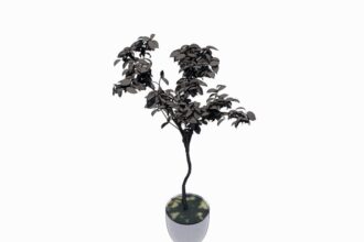 Familia de Árbol de Interior para Revit, modelo RFA de vegetación decorativa (LOD 300) para diseño de interiores y arquitectura BIM.