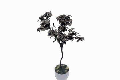 Familia de Árbol de Interior para Revit, modelo RFA de vegetación decorativa (LOD 300) para diseño de interiores y arquitectura BIM.