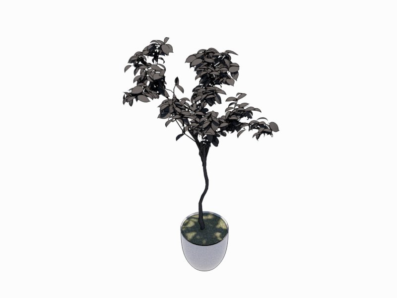 Familia de Árbol de Interior para Revit, modelo RFA de vegetación decorativa (LOD 300) para diseño de interiores y arquitectura BIM.