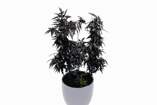 Familia de Bambú de Interior para Revit, modelo RFA de vegetación decorativa (LOD 300) para diseño de interiores y arquitectura BIM.