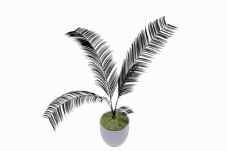 Familia de Palmera de Interior para Revit, modelo RFA de vegetación decorativa (LOD 300) para diseño de interiores y arquitectura BIM.