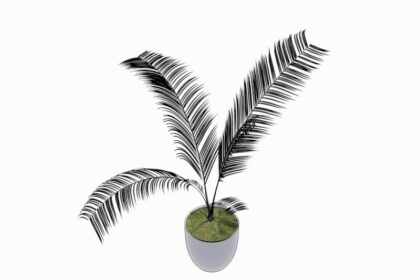 Familia de Palmera de Interior para Revit, modelo RFA de vegetación decorativa (LOD 300) para diseño de interiores y arquitectura BIM.