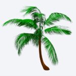Palmera para Revit de alta resolución, familia RFA paramétrica de vegetación tropical con nivel de detalle LOD 300 para paisajismo y proyectos BIM.