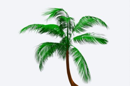 Palmera para Revit de alta resolución, familia RFA paramétrica de vegetación tropical con nivel de detalle LOD 300 para paisajismo y proyectos BIM.